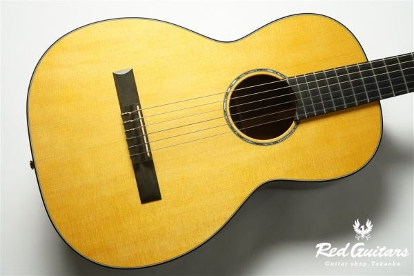 00-Nylon w/FISHMAN Matrix VT Enhance